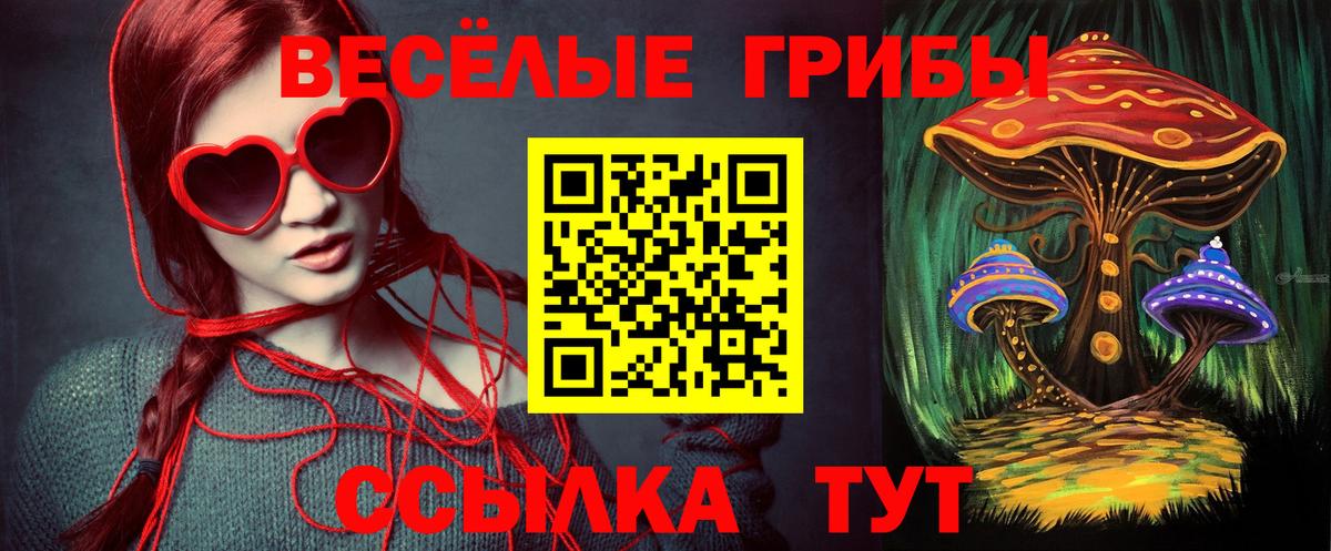 Галлюциногенные грибы мицелий  Вход с VPN  купить наркотик  Дзержинск 